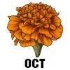 Marigold