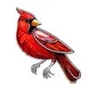 Cardinal Bird